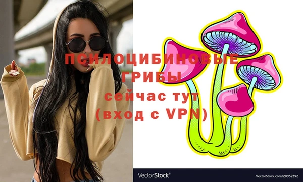 дживик Армянск