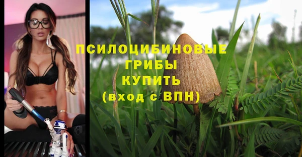 крисы Балабаново