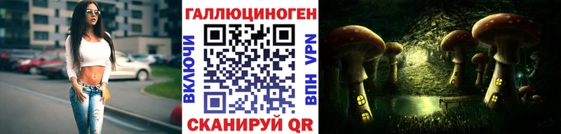 Галлюциногенные грибы прущие грибы  гидра ссылки  Пугачёв  продажа наркотиков 