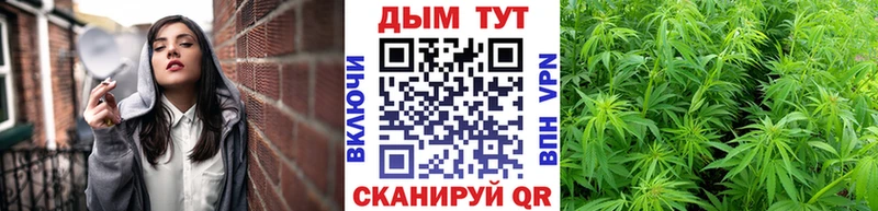 МАРИХУАНА OG Kush  продажа наркотиков  hydra ССЫЛКА  Пугачёв 